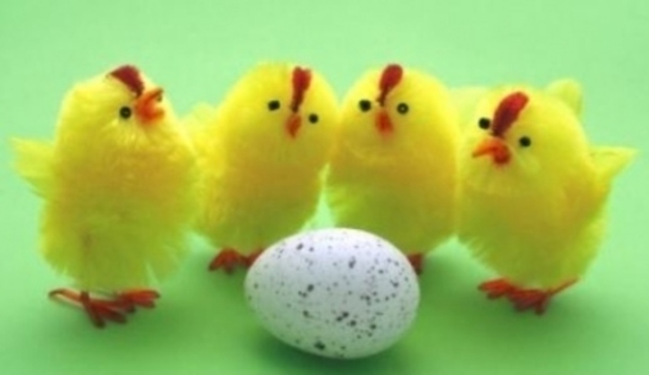 Čtyři žlutá kuřátka s kropenatým vejcem 