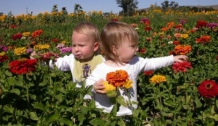 Děti v poli květin