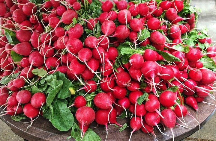 Ředkvičky jako přírodní antioxidant ředkvičky